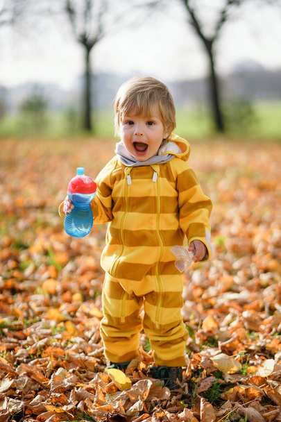 Щасливий маленький хлопчик з пляшкою води грає восени на прогулянці в парку
 - Фото, зображення
