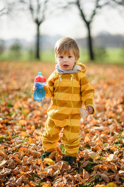 Happy little boy with water bottle playing in the autumn on the walk at park - Photo, Image