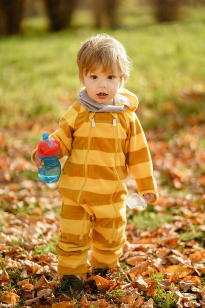 Happy little boy with water bottle playing in the autumn on the walk at park - Fotografie, Obrázek