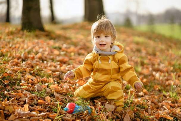 Menino feliz rindo e brincando no outono na caminhada da natureza no parque
 - Foto, Imagem