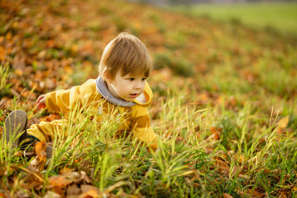 Ευτυχισμένο αγοράκι που γελάει και παίζει το φθινόπωρο στη φύση με τα πόδια στο πάρκο - Φωτογραφία, εικόνα