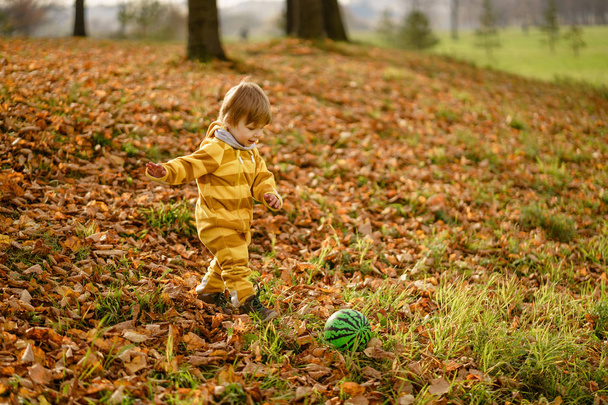 Happybaby menino rindo e brincando com bola verde no parque
 - Foto, Imagem