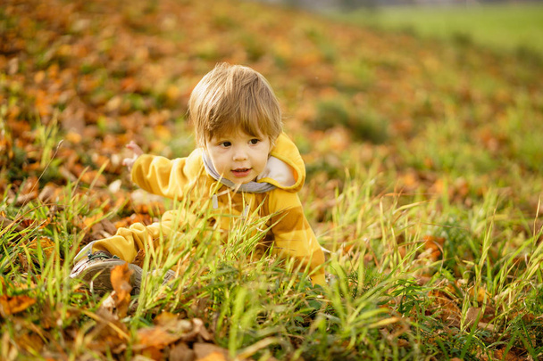 Ragazzino felice che ride e gioca in autunno durante la passeggiata nella natura al parco
 - Foto, immagini