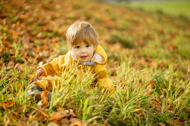 Щасливий маленький хлопчик сміється і грає восени на природі прогулянка в парку
 - Фото, зображення