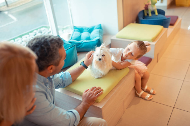 Little girl touching and playing with white fluffy dog - Photo, image