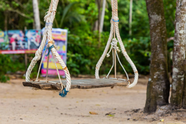columpio suspendido en un árbol de recreación al aire libre día soleado. Playa tropical isla swing
 - Foto, Imagen