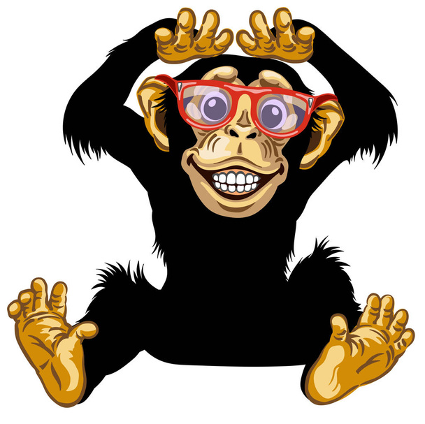 Boldog rajzfilm csimpánz szemüveggel - Vektor, kép
