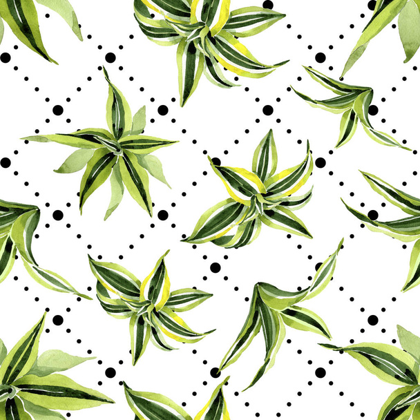 Dracena green leaves. Leaf plant botanical floral foliage. Watercolor illustration set. Seamless background pattern. - Fotoğraf, Görsel