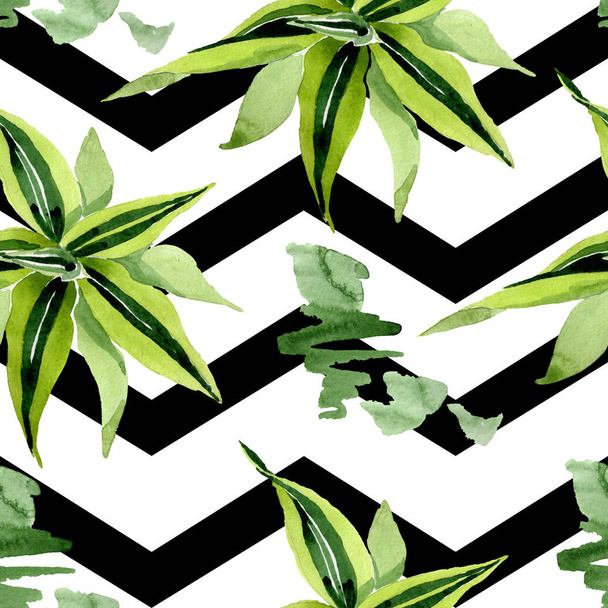 Dracena green leaves. Leaf plant botanical floral foliage. Watercolor illustration set. Seamless background pattern. - Foto, Bild