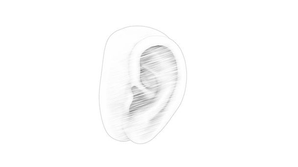 3D-Darstellung eines menschlichen Ohres isoliert im weißen Studiohintergrund - Foto, Bild