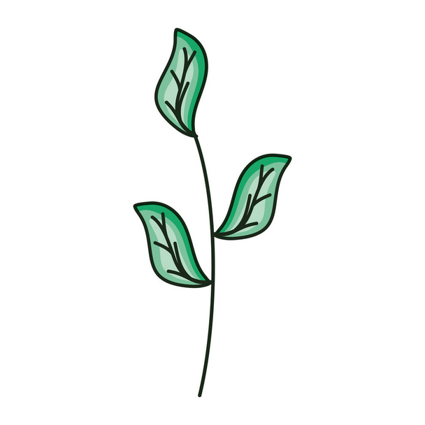 branch with leafs plant ecology icon - Vector, Image