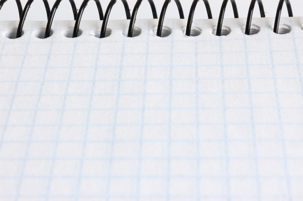 Blank sheet of a notebook - Photo, image