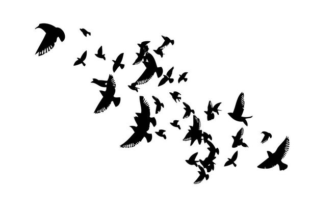Stado latających ptaków. Ilustracja wektora - Wektor, obraz