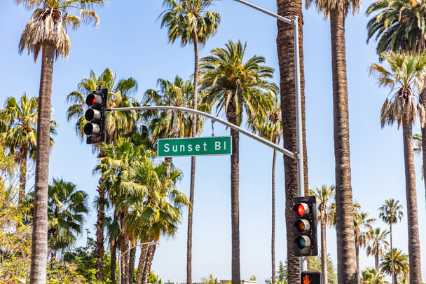 Auringonlasku Bl. LA, Kalifornia, Yhdysvallat. Vihreä merkki, punaiset liikennevalot ja palmut
 - Valokuva, kuva