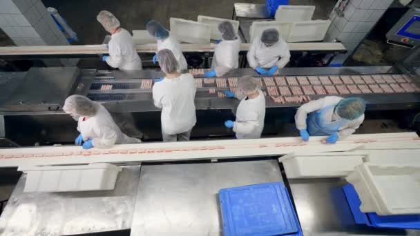 De nombreux travailleurs de l'usine emballent les aliments dans des conteneurs en plastique dans une installation
. - Séquence, vidéo