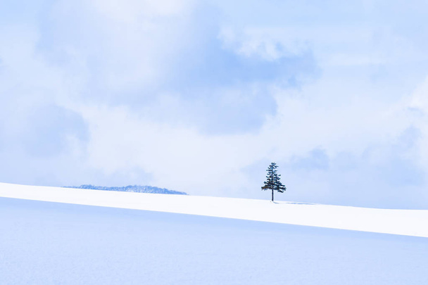 Bellissimo paesaggio naturale all'aperto con albero di Natale in inverno
 - Foto, immagini