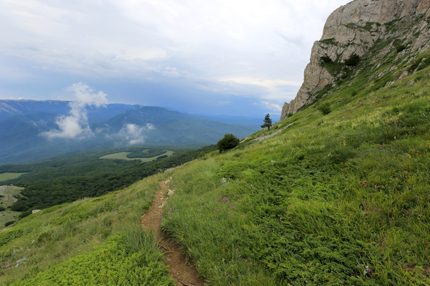 pad in de bergen - Foto, afbeelding