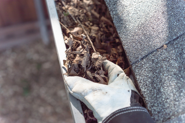 Primo piano mano in guanti pulizia foglie secche dalla grondaia in America
 - Foto, immagini