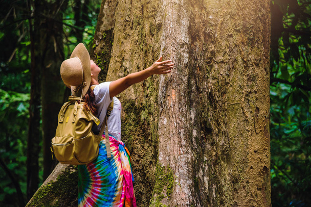 Une fille avec un sac à dos embrasse un grand arbre. profiter de la nature de voyage dans la forêt Arbres verts luxuriants. En été, Voyage relax, Voyage Thaïlande, tourisme, campagne, plein air, forêt tropicale
. - Photo, image