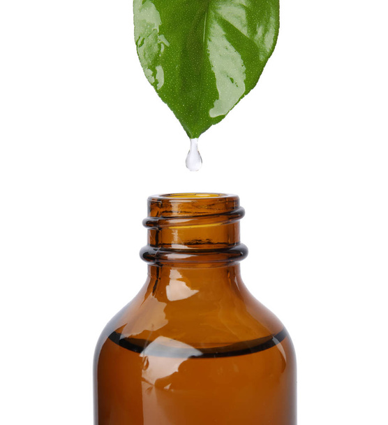 Essential oil dripping from green leaf into bottle against white background - Photo, image