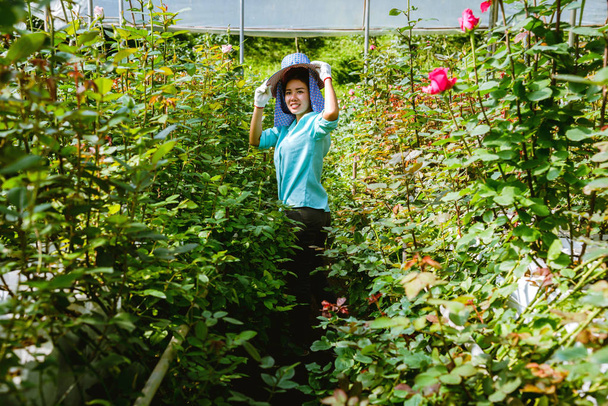 Азиатские женщины-фермеры, которые держат розу и улыбаются. Рабочие, работающие в розовом саду
. - Фото, изображение