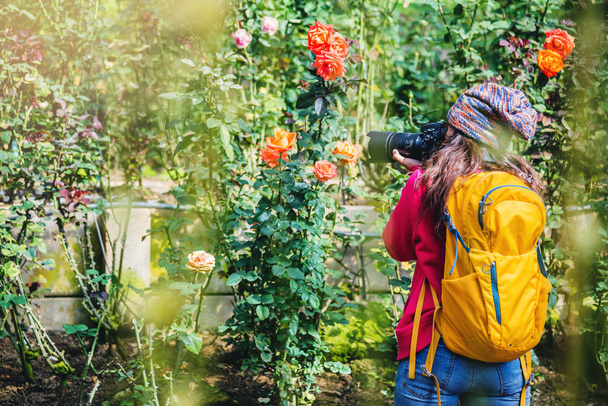 Fényképész utazási fénykép a rózsa kertben. Utazás nyugi. Sokszínű rózsák gyönyörű, háttér elmosódott. - Fotó, kép