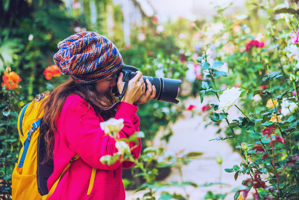 女性はタイのインタノンチェンマイのバラ園で写真を撮る自然を旅する. - 写真・画像