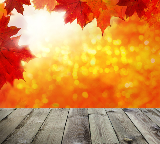 Осенний фон. Цветные красные осенние кленовые листья
 - Фото, изображение