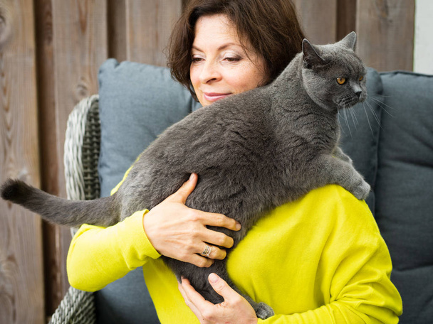 Ανώτερο βρετανικό κοντά μαλλιά γάτα μπλε. Γυναίκα κρατώντας και Αγκαλιάστε το lov - Φωτογραφία, εικόνα