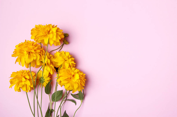 Crisantemos amarillos sobre fondo rosa. Fondo para saludos, tarjetas en colores pastel suaves
. - Foto, imagen