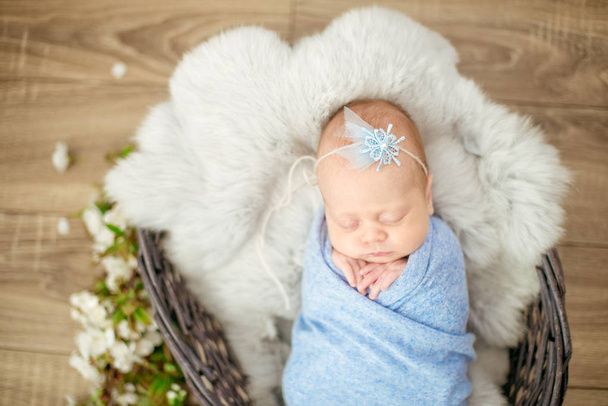 Perfect newborn baby girl in blue blanket in a wicker basket decorated with branches of spring cherry blossoms - Foto, imagen