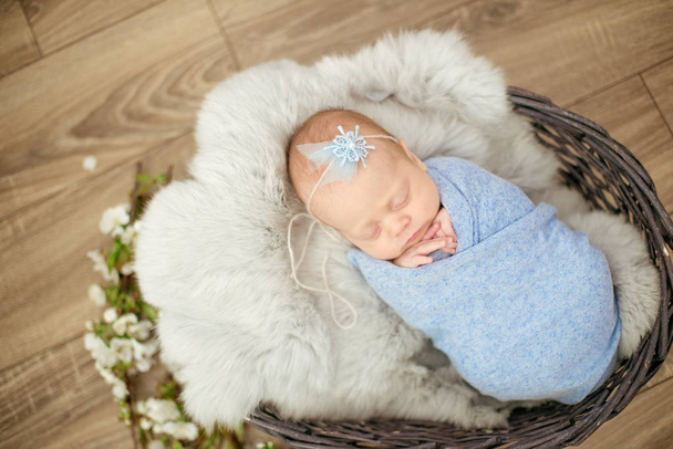 Perfect newborn baby girl in blue blanket in a wicker basket decorated with branches of spring cherry blossoms - Фото, изображение
