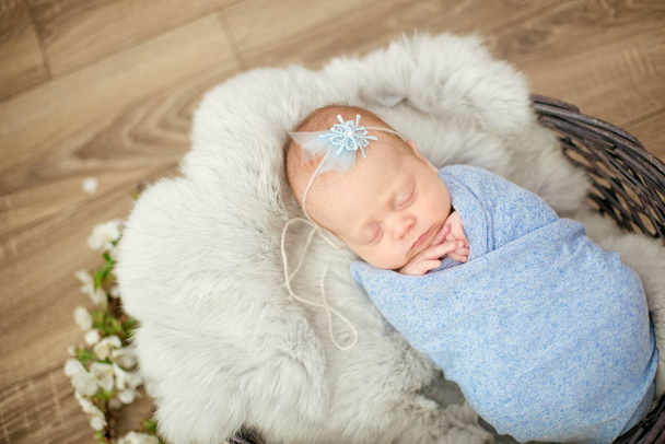 Perfect newborn baby girl in blue blanket in a wicker basket decorated with branches of spring cherry blossoms - Fotografie, Obrázek