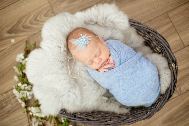 Perfect newborn baby girl in blue blanket in a wicker basket decorated with branches of spring cherry blossoms - Photo, Image