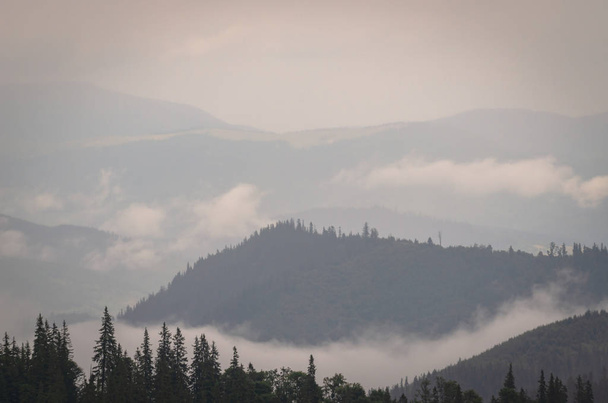 svítání v Karpatských horách - Fotografie, Obrázek