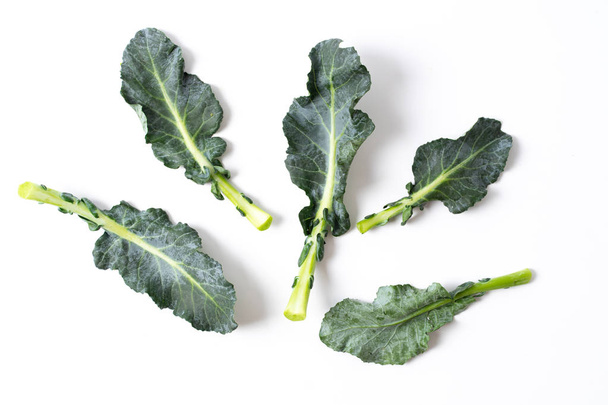 broccoli leaves isolated on white - Zdjęcie, obraz