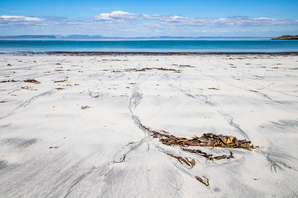 Beach with sand and seaweeds in Inishmore - Photo, Image