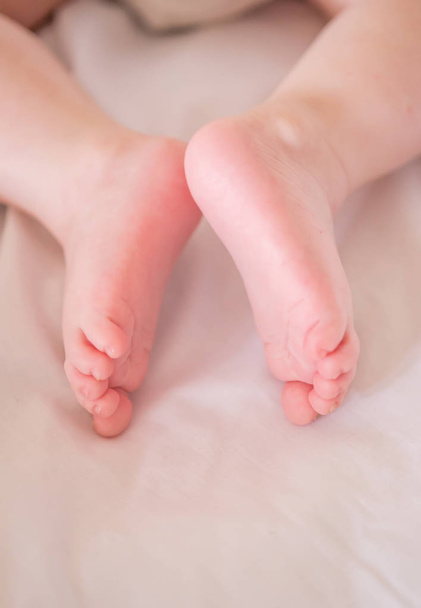 little foot of newborn baby - 写真・画像