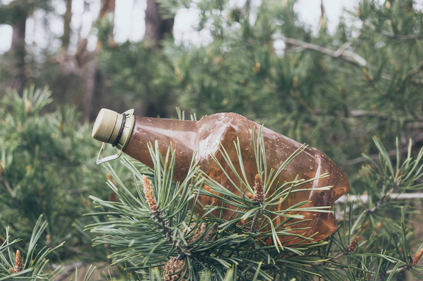 Hnědá plastová láhev na stromě v borovicovém lese. - Fotografie, Obrázek