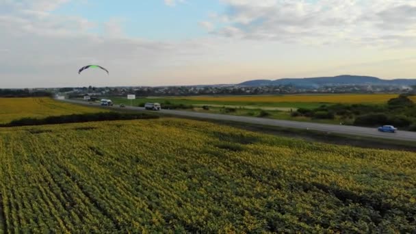 Moto parachute vliegen langs de weg boven zonnebloemen veld op zonsondergang - Video
