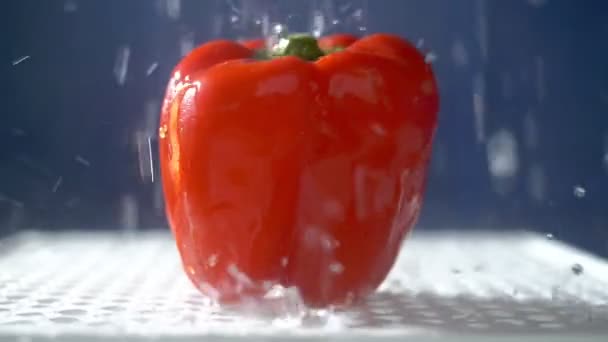 Sweet red pepper on a dark background in the studio under jets of rain. - Metraje, vídeo