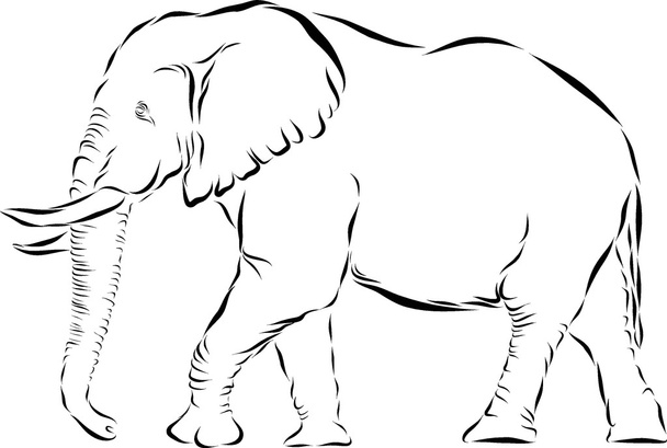 象のアイコン - ベクター画像