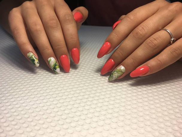 manicure di corallo moda con disegno foglia verde su unghie lunghe
 - Foto, immagini