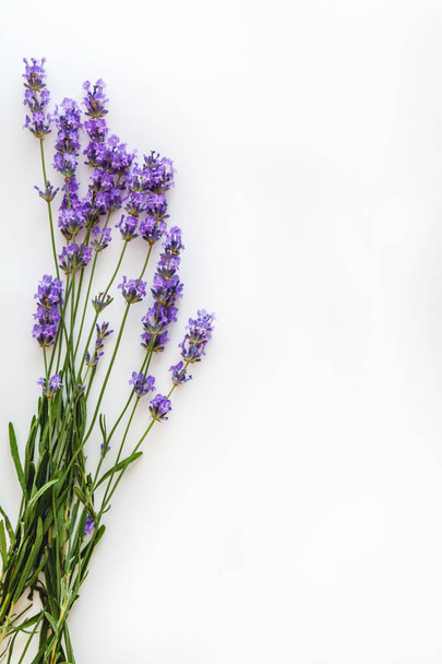 bouquet of fresh lavender flowers on white background, top view, isolated. Copy space. Flat lay - Foto, imagen