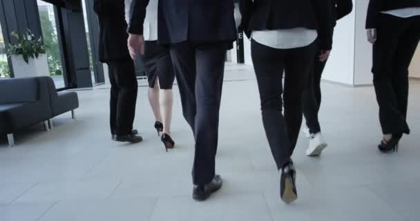 Obchodní tým, který chodí společně v moderní chodbě a vydělá něco, zadní pohled - Záběry, video
