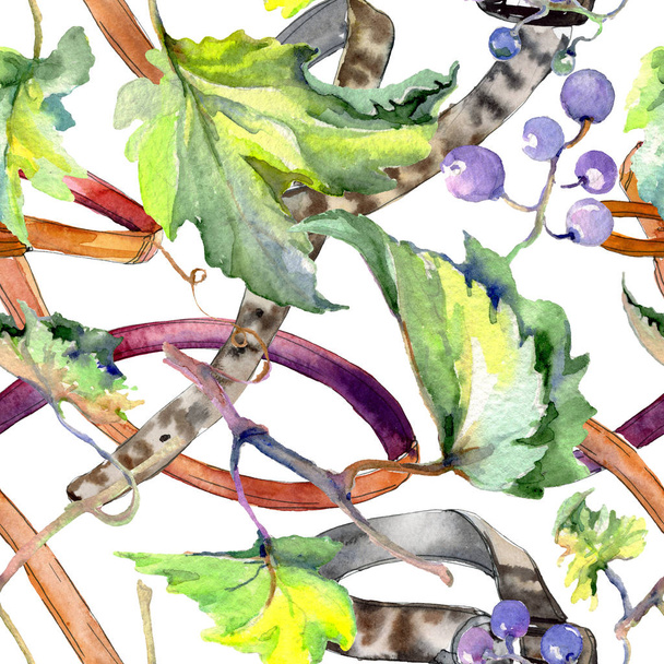 Grape berry healthy food in a watercolor style. Watercolor background set. Seamless background pattern. - Photo, Image