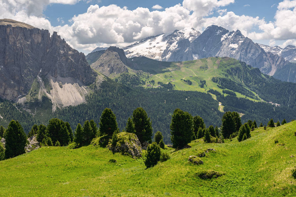 Beautiful nature with rocky mountain and green tree - Foto, afbeelding
