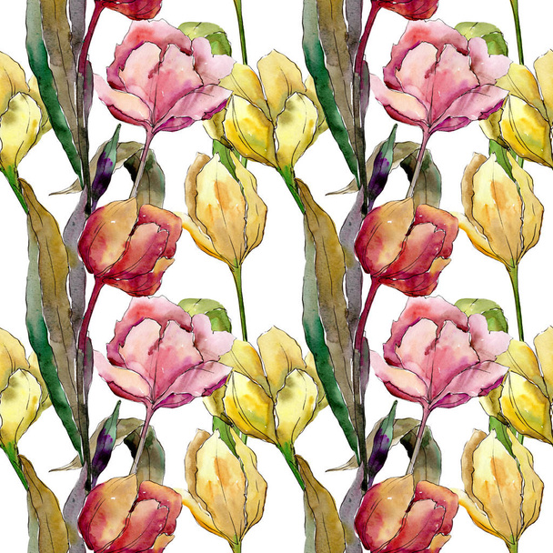 Tulipa flores botânicas florais. Conjunto de ilustração de fundo aquarela. Padrão de fundo sem costura
. - Foto, Imagem