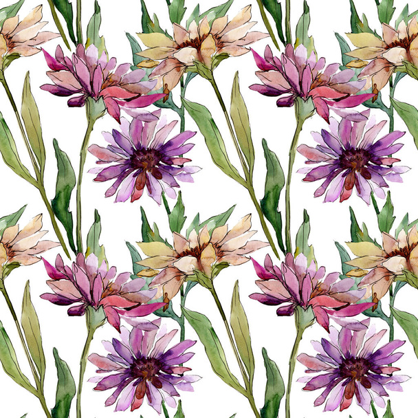 Aster floral botanical flowers. Watercolor background illustration set. Seamless background pattern. - Fotó, kép