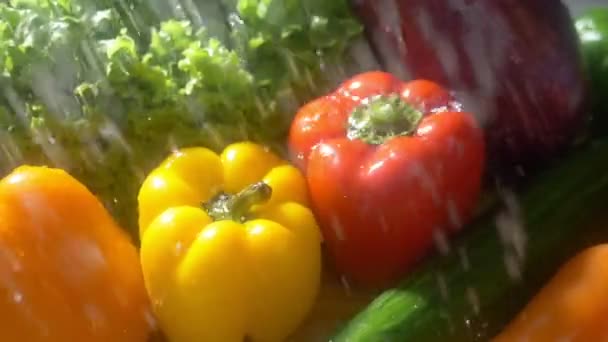 Frisches Gemüse auf dunklem Hintergrund im Atelier unter strömendem Regen. Herbsterntekonzept - Filmmaterial, Video